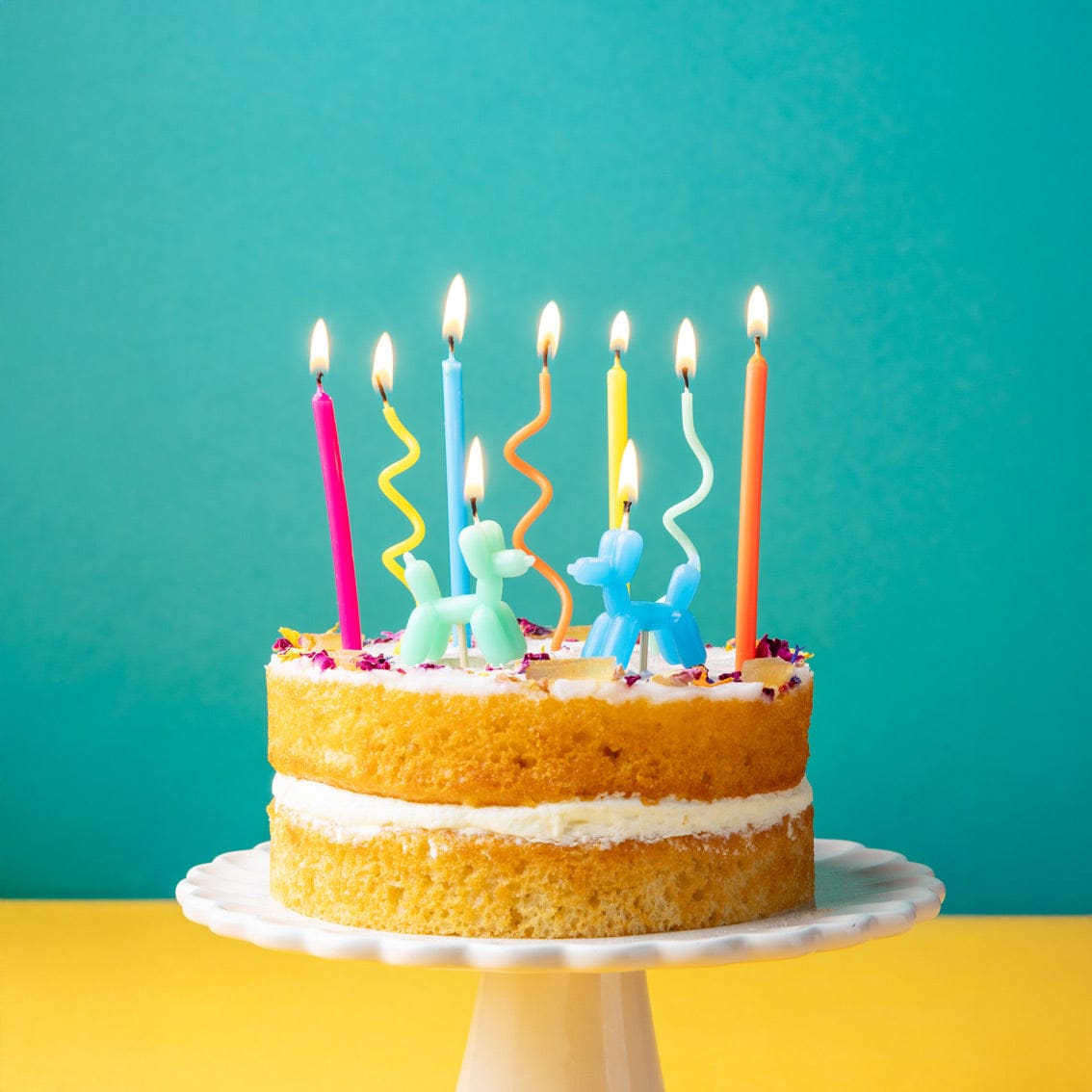 Balloon Dog Birthday Cake Candles - 9 Pack – Little Big Party Co.