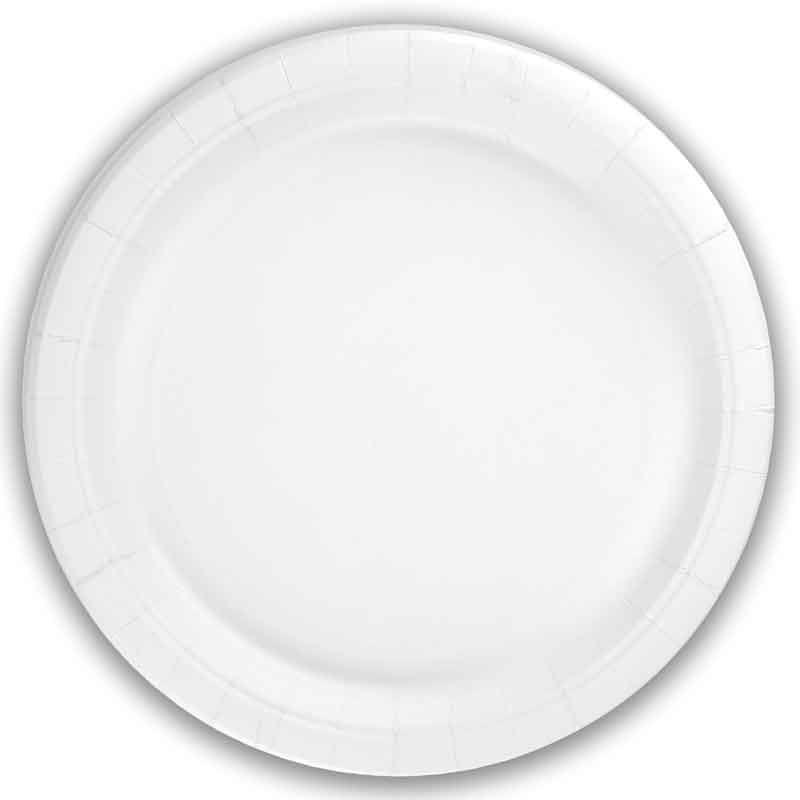 Plain White Paper Plates x 8 - White Party Supplies Disposable Plates Plain White Paper Plates x 8