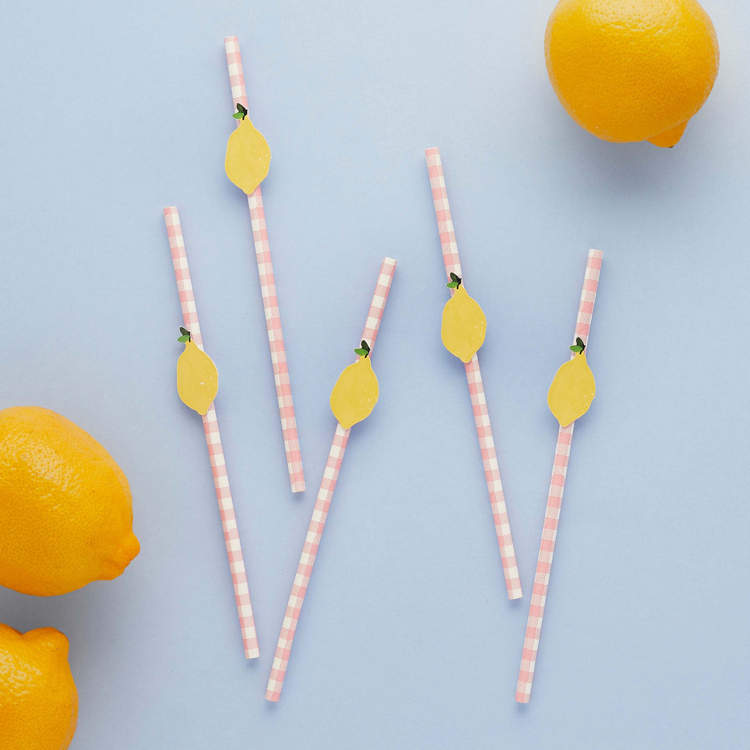 Drinking Straws & Stirrers Lemon & Gingham Paper Straws - 20 Pack