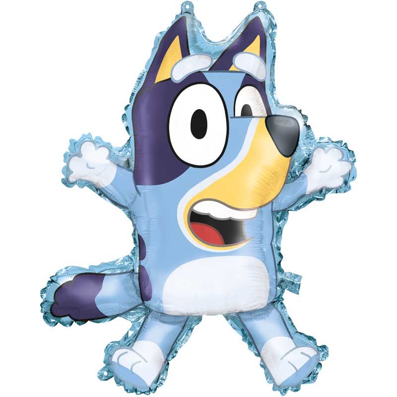 Bluey Party