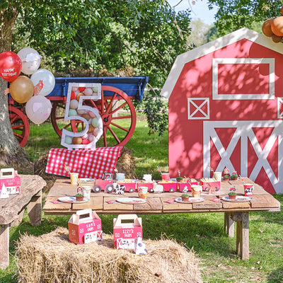 5th Birthday Party Decorations