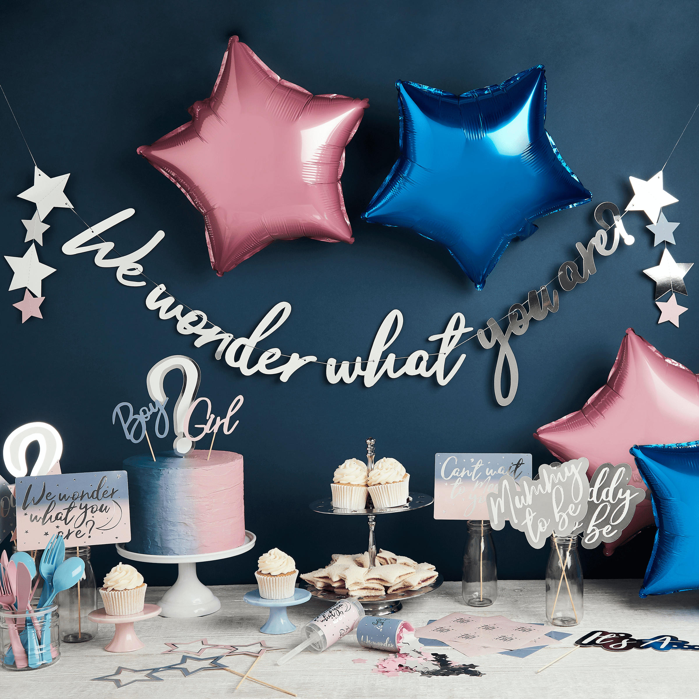 We wonder what you are - Baby Shower Party Supplies