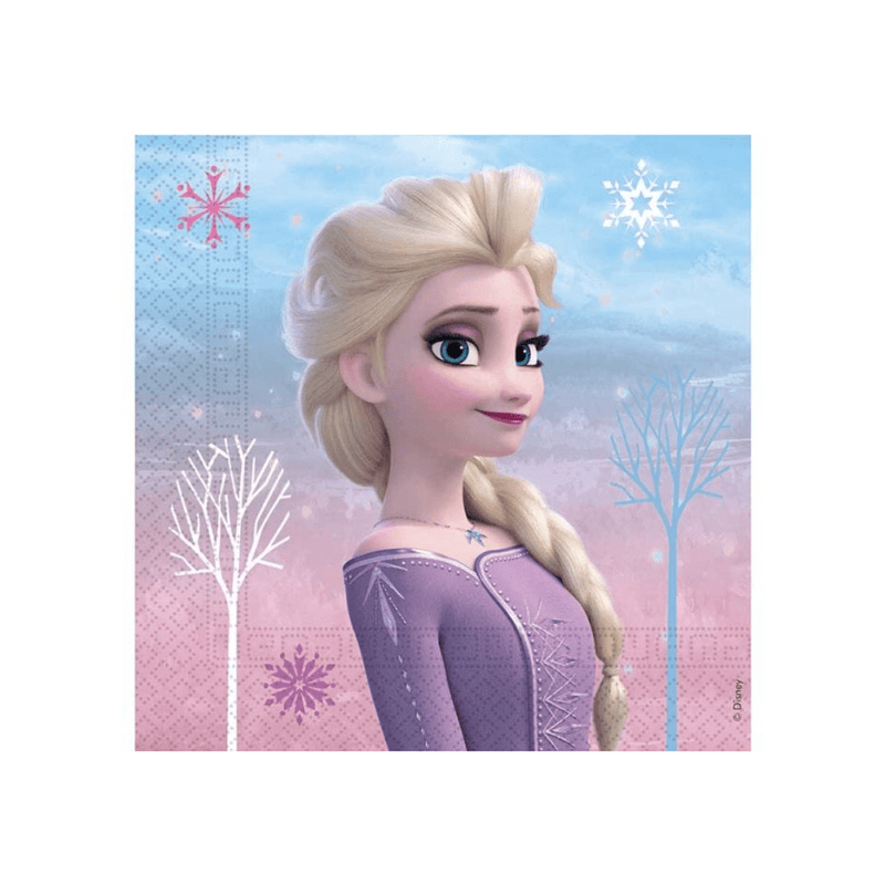 Disney Frozen Party Supplies