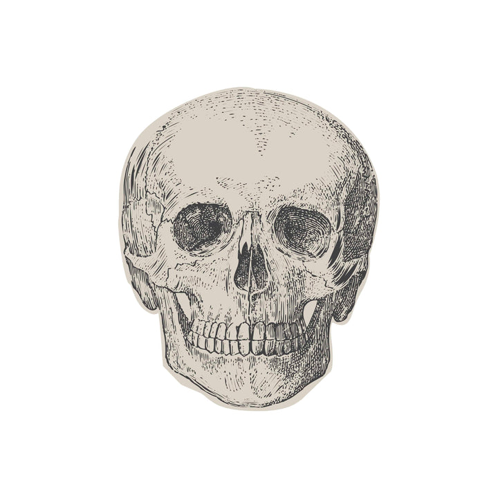 16 Pack Skull Paper Napkins | Halloween Party Supplies UK Paper Napkins 16 Pack Skull Paper Napkins
