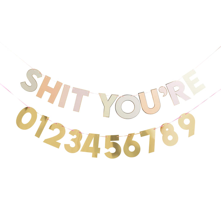 2m Milestone Sh*t You&