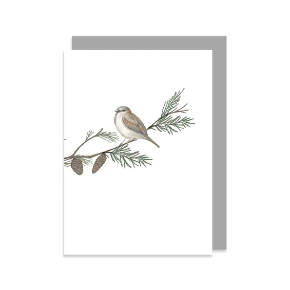 Bird &amp; Berry Greetings Card, Sparrow | East of India Greetings Card East of India Bird &amp; Berry Greetings Card - Sparrow