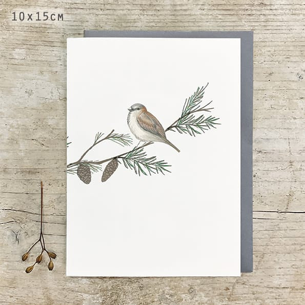 Bird &amp; Berry Greetings Card, Sparrow | East of India Greetings Card East of India Bird &amp; Berry Greetings Card - Sparrow