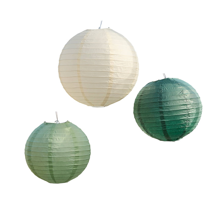 Botanical Party Paper Lantern Hanging Decorations - Pack of 3 Hanging Decoration Botanical Party Paper Lantern Hanging Decorations - Pack of 3