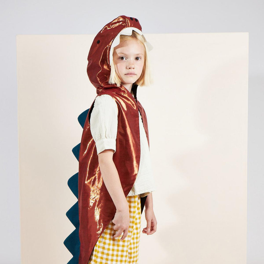 Dinosaur Costume | Kids Dressing Up UK Dressing Up Dinosaur Costume
