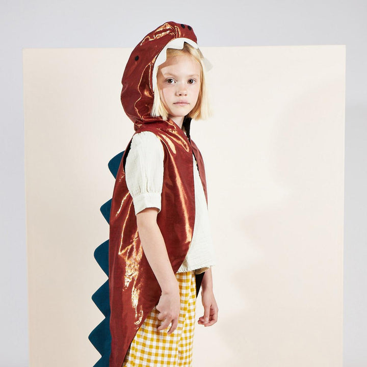 Dinosaur Costume | Kids Dressing Up UK Dressing Up Dinosaur Costume