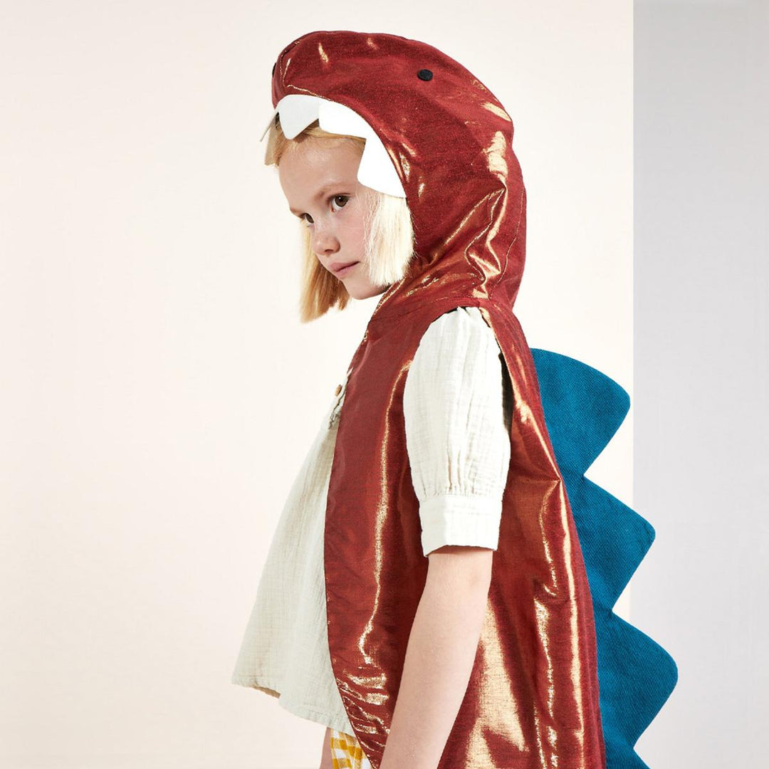 Dinosaur Costume | Kids Dressing Up UK Dressing Up Dinosaur Costume