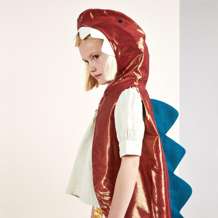 Dinosaur Costume | Kids Dressing Up UK Dressing Up Dinosaur Costume