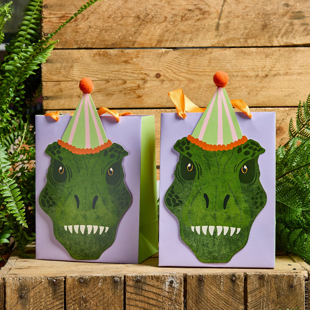 Dinosaur Party Bags - Pack of 5 Party Bags Dinosaur Party Bags - Pack of 5