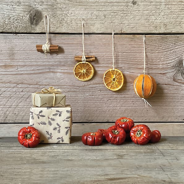 East of India Single Dried Mini Pumpkin | Autumn Decoration ornament East of India Single Dried Mini Pumpkin