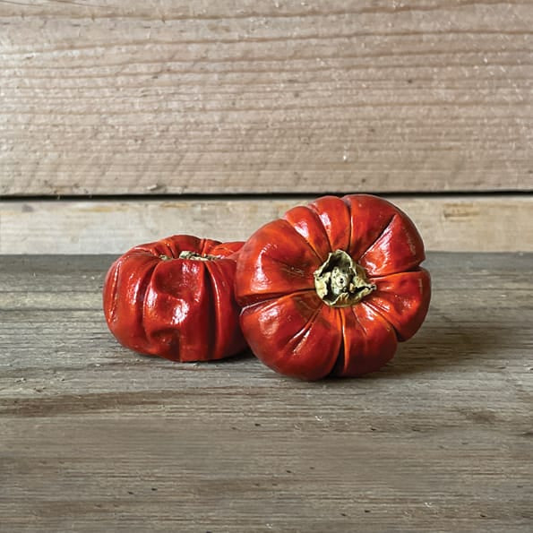 East of India Single Dried Mini Pumpkin | Autumn Decoration ornament East of India Single Dried Mini Pumpkin