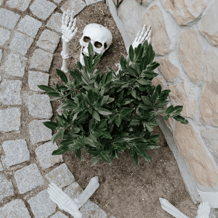 Halloween Decorations - Skeleton Decoration Set Hanging Decoration Skeleton Decoration Set