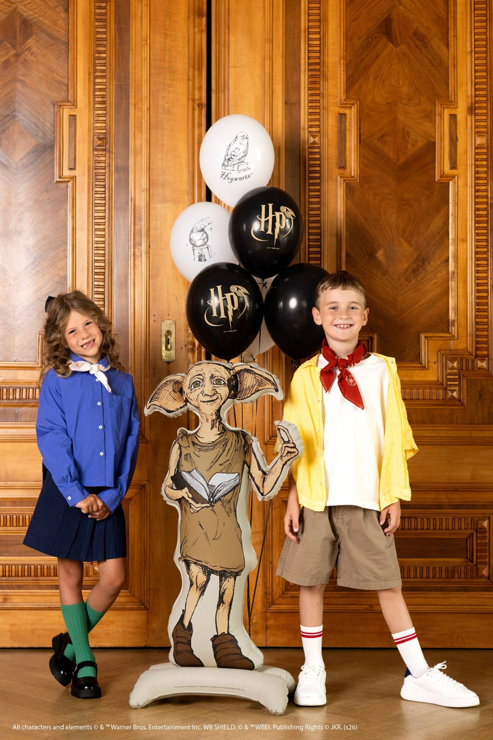 Harry Potter Dobby Standing Foil Balloon (41 inch) - Harry Potter Balloons Foil Balloon Harry Potter Dobby Standing Foil Balloon (41 inch)