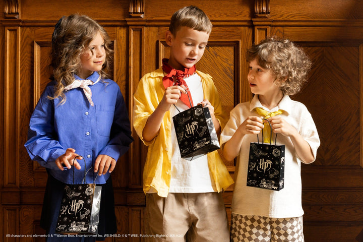 Harry Potter Party Gift Bags x 6 - Harry Potter Party Bags Gift Bags Harry Potter Party Gift Bags x 6
