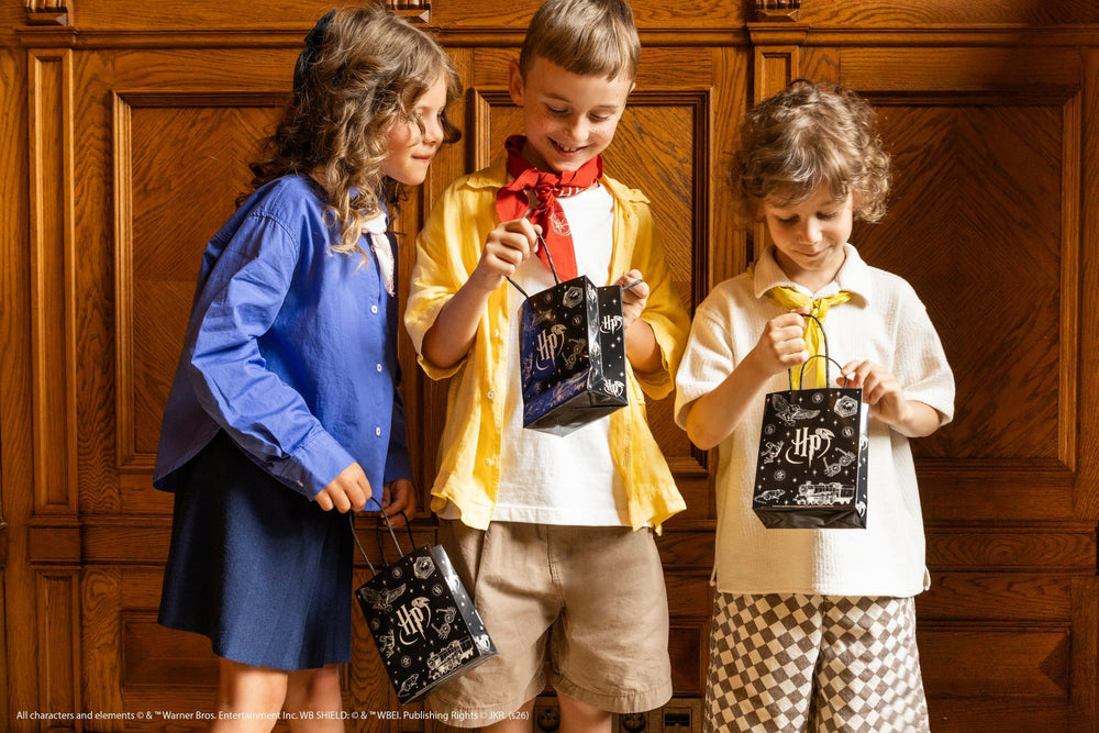 Harry Potter Party Gift Bags x 6 - Harry Potter Party Bags Gift Bags Harry Potter Party Gift Bags x 6