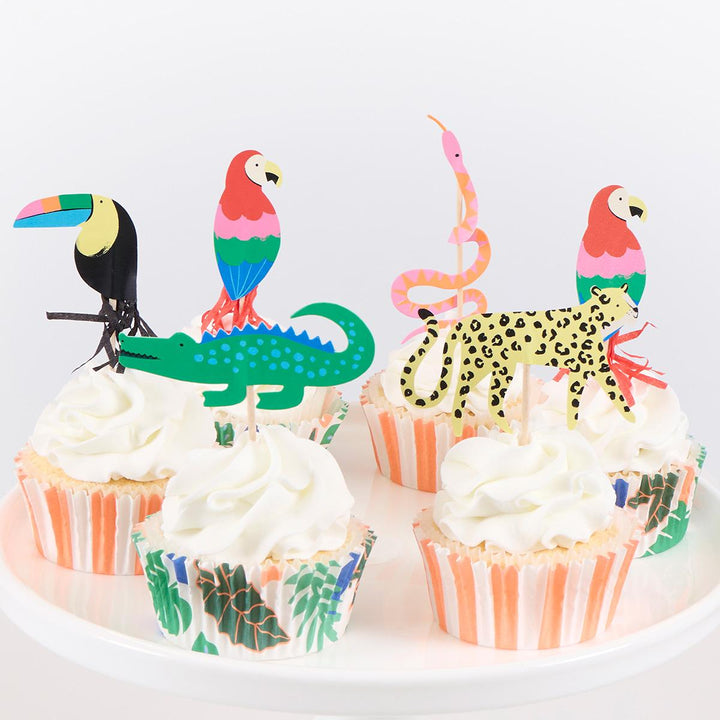 Jungle Jamboree Cupcake Kit x 24 | Cake Decorating UK Cake Decorating Supplies Jungle Jamboree Cupcake Kit x 24 toppers