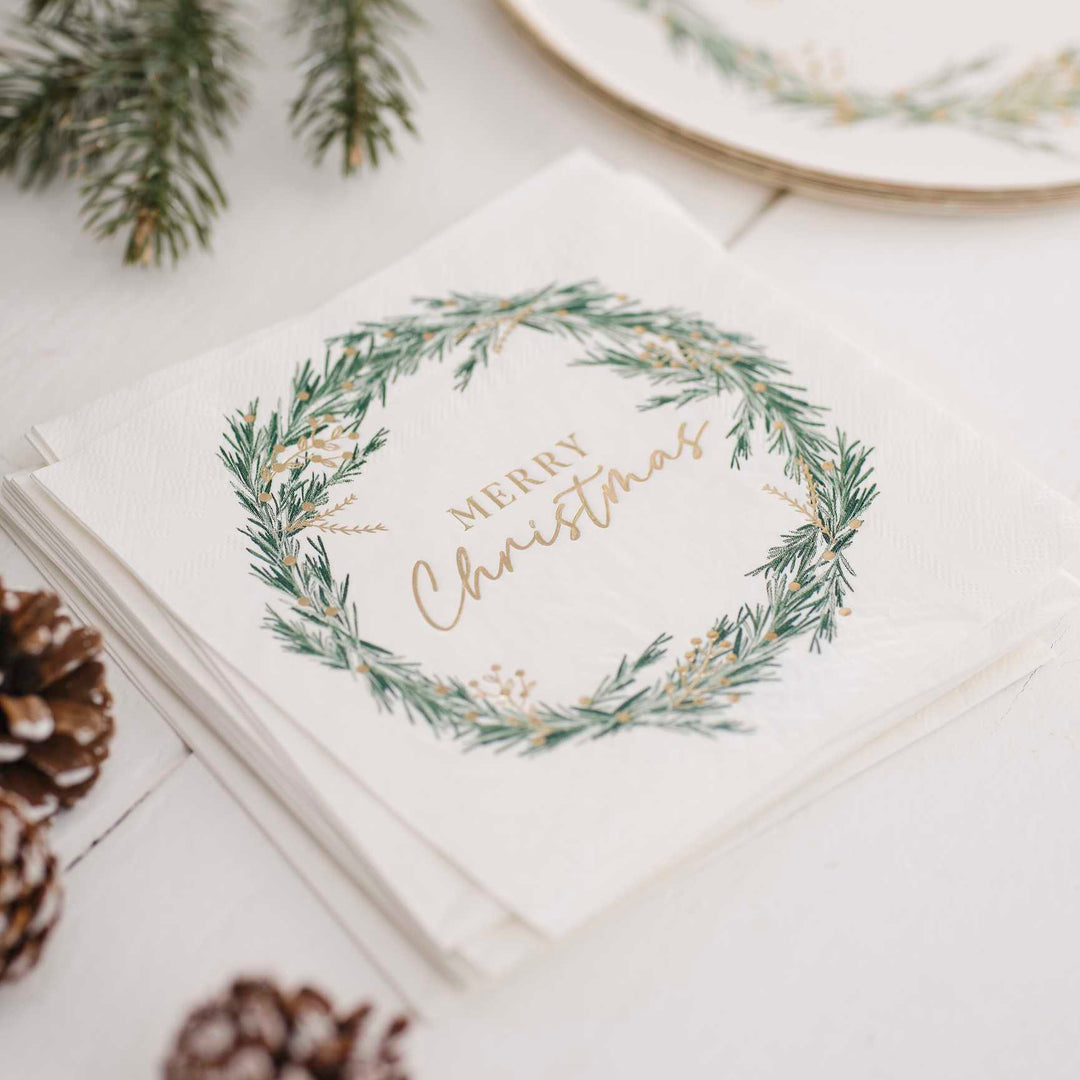 party plates Merry Christmas Paper Party Napkins x 16