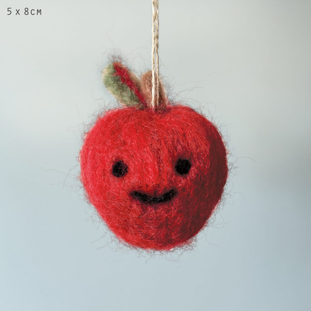 Needle Felted Apple Hanging Decoration by East of India Hanging Decoration East of India Needle Felted Fruit Hanging Decoration - Apple