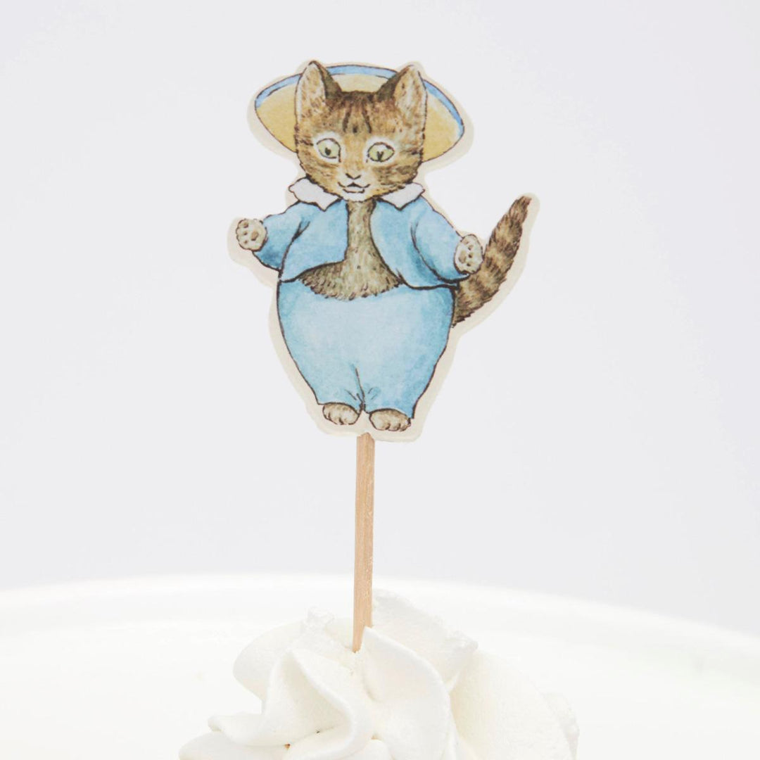 Peter Rabbit &amp; Friends Party Picks x 12 | Meri Meri UK Cake Decorating Supplies Peter Rabbit™ &amp; Friends Party Picks x 12