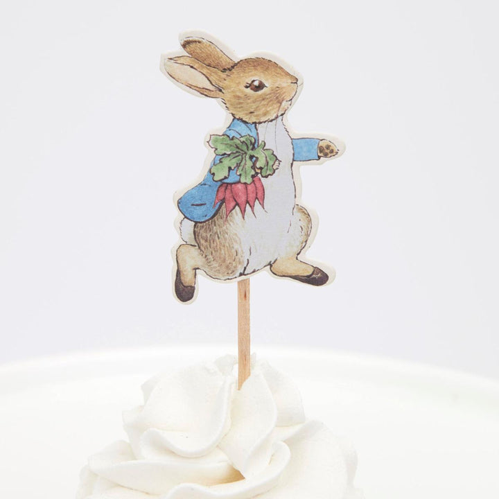 Peter Rabbit &amp; Friends Party Picks x 12 | Meri Meri UK Cake Decorating Supplies Peter Rabbit™ &amp; Friends Party Picks x 12
