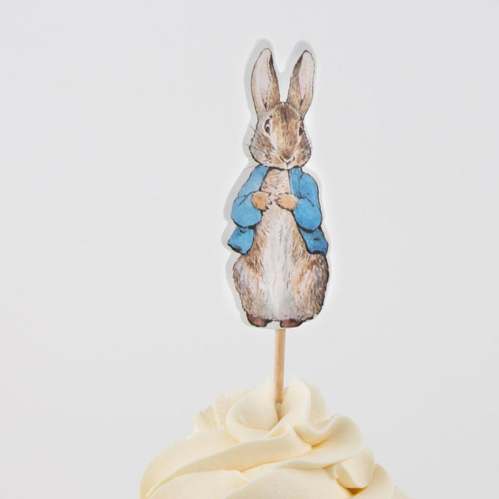 Peter Rabbit In The Garden Cupcake Kit x 24 | Meri Meri UK Cake Decorating Supplies Peter Rabbit™ In The Garden Cupcake Kit x 24 toppers