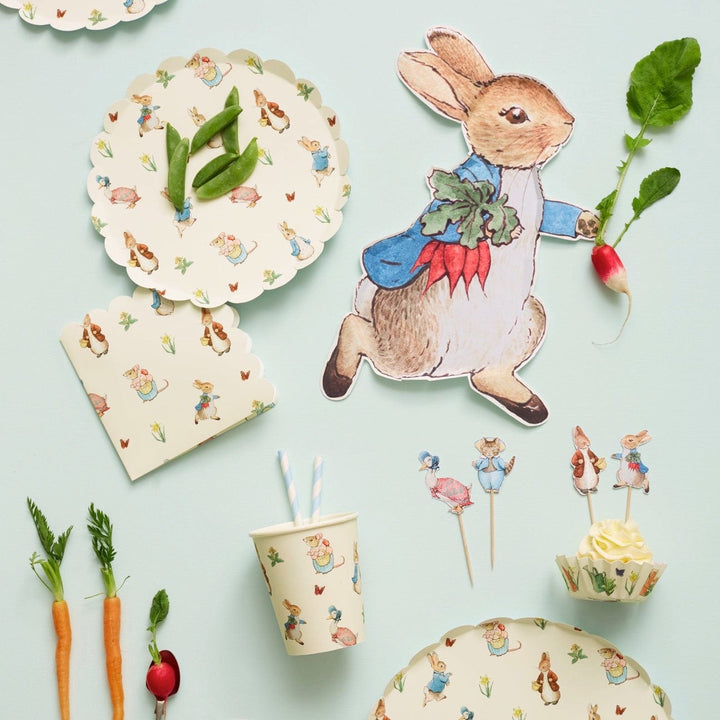 Paper Plate Peter Rabbit™ Party Plates x 12