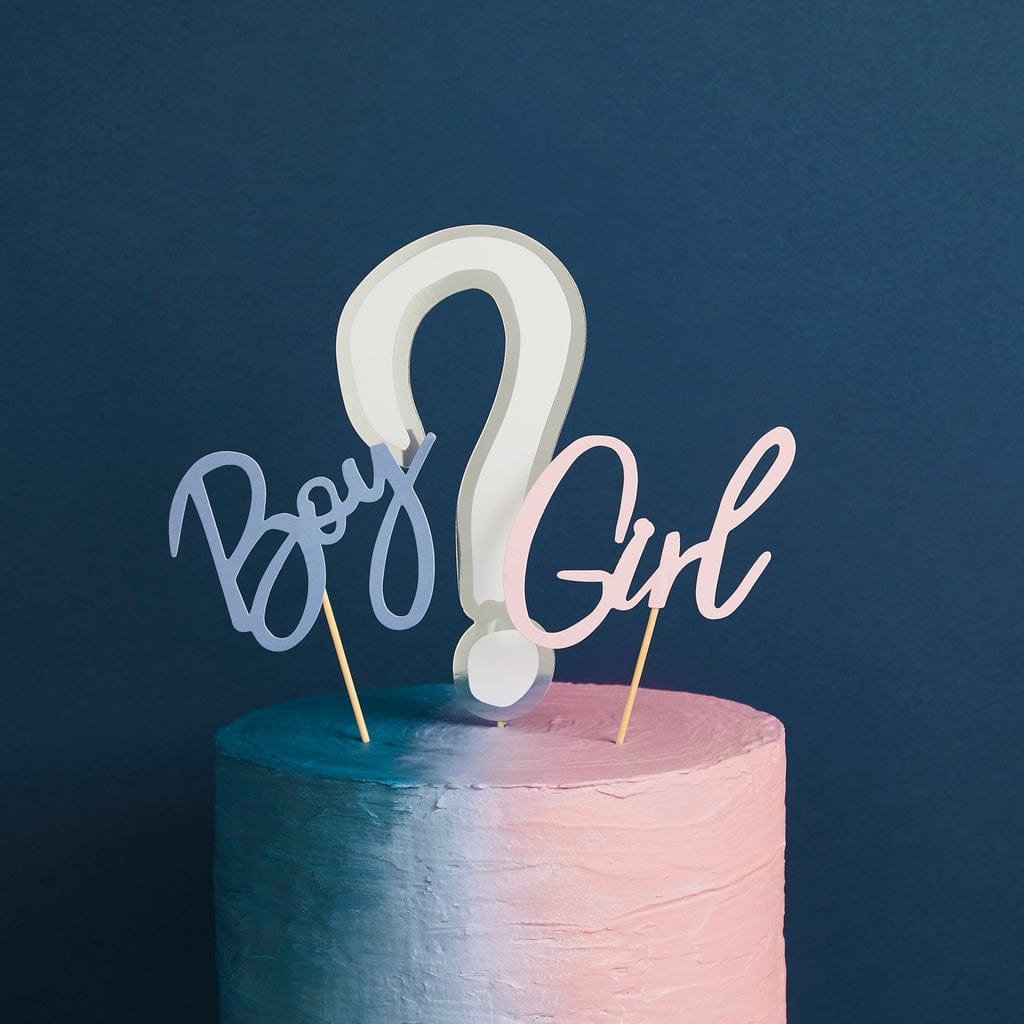 Cake Decorating Supplies Gender Reveal Cake Topper Set - Boy or Girl?