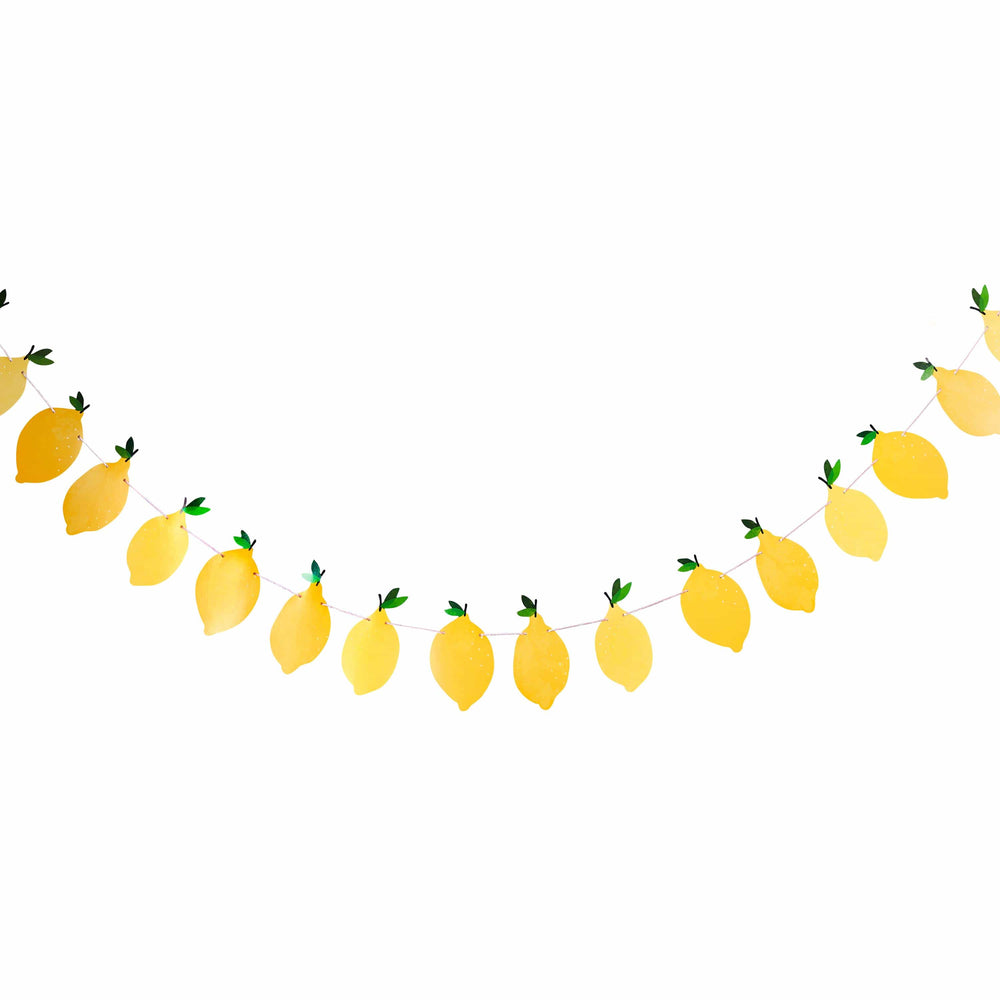 Party Supplies Lemon Party Garland 2.5M