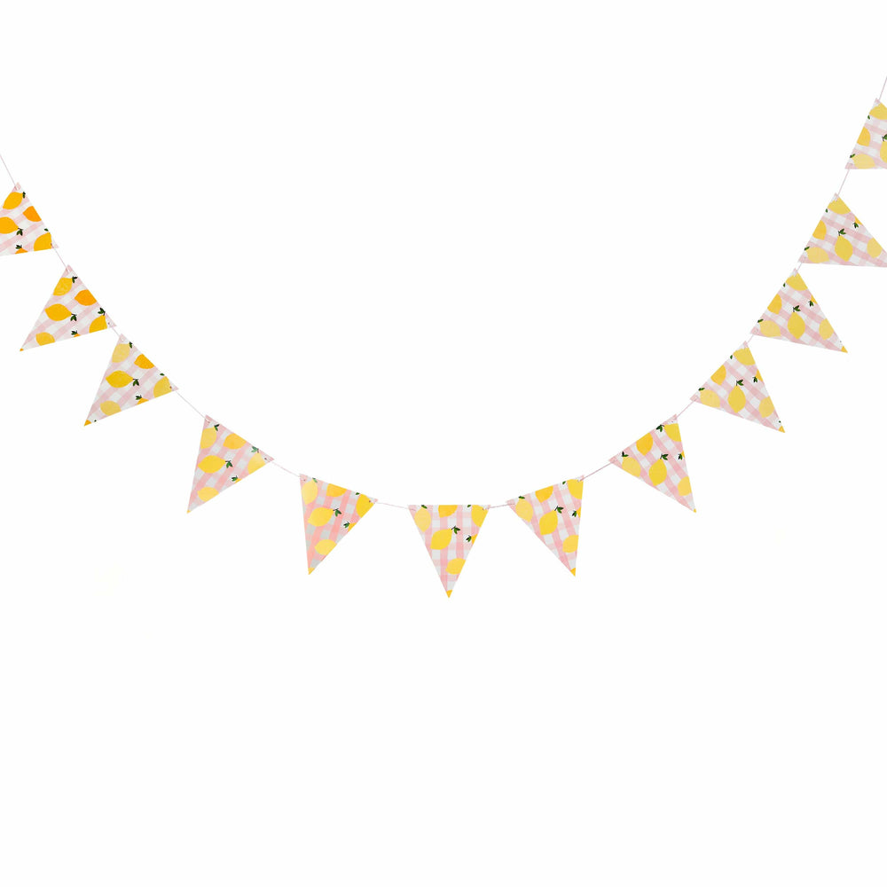 Party Supplies Lemons & Gingham Flag Bunting 2.5M