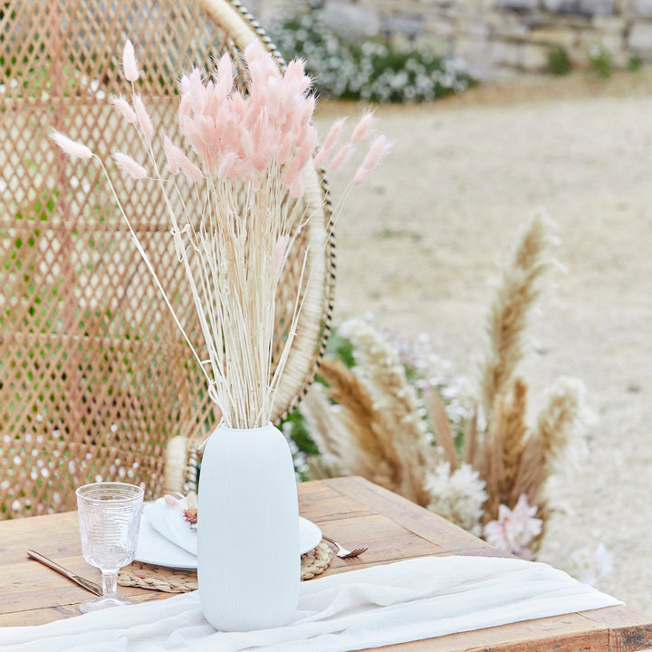 Dried Flowers Soft Pink Bunny Tails Lagurus grass